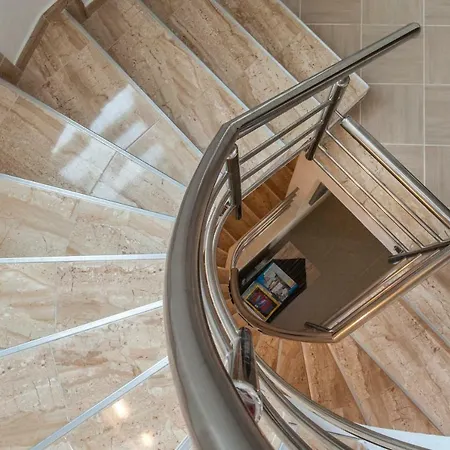 Katy فيلة سيفيد